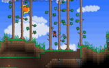 Terraria_2011-05-31_19-49-26-25